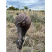 Wildcrete Warthog Vital